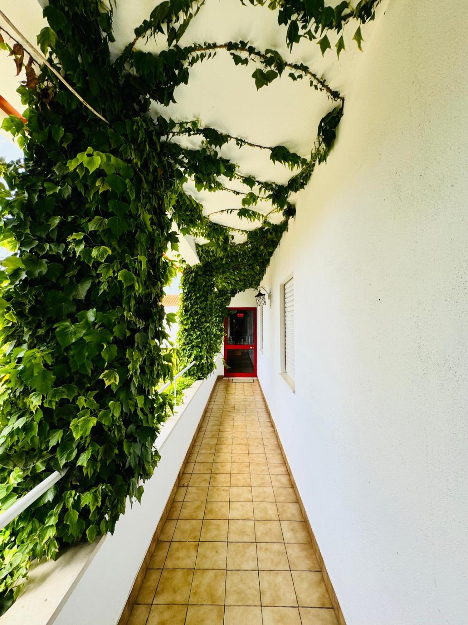 Nature & Beach Guest Rooms, Aldeamento Turistico Do Camarido Cristelo  Εξωτερικό φωτογραφία